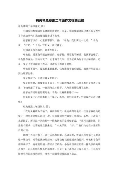 有关龟兔赛跑二年级作文锦集五篇.docx