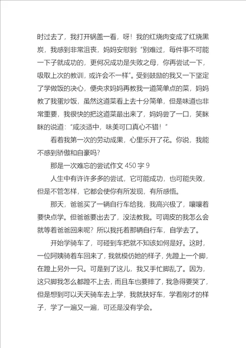 那是一次难忘的尝试作文450字