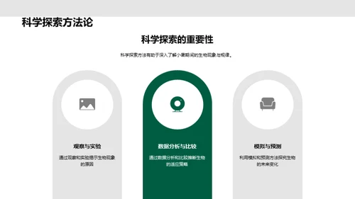 小暑生态解读