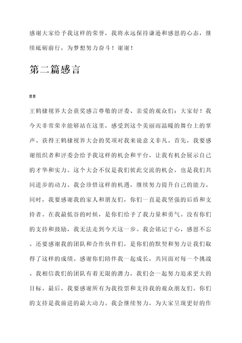 王鹤棣视界大会获奖感言