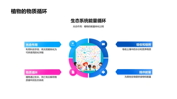 植物生存解码PPT模板