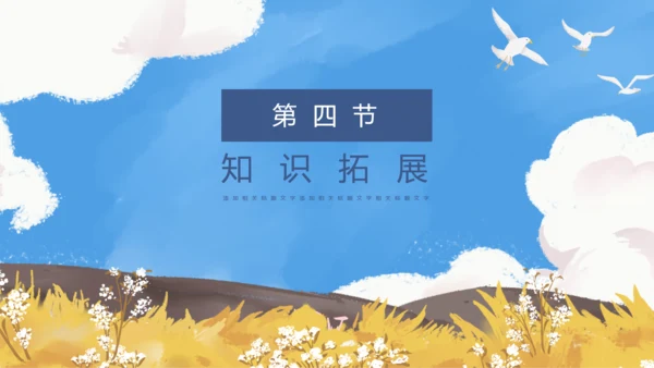 初中教师海天海燕教育教学课件PPT模板