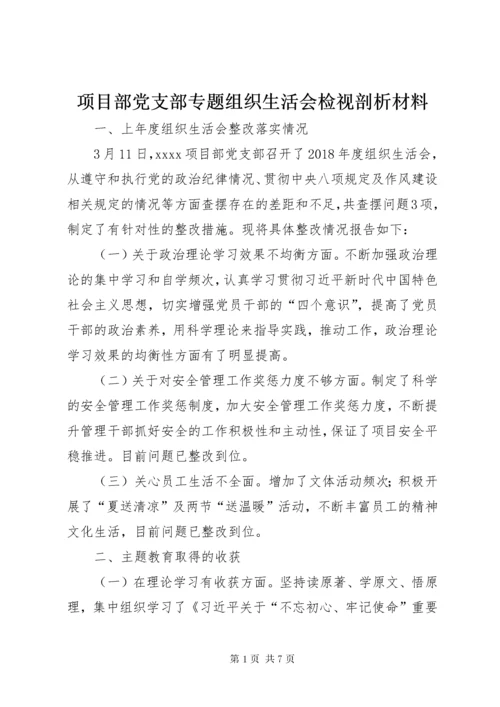 6项目部党支部专题组织生活会检视剖析材料.docx