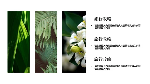绿色简约风旅游出行安排通用PPT模板