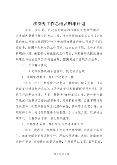 法制办工作总结及明年计划.docx