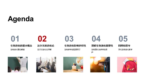 探索生物演化秘密
