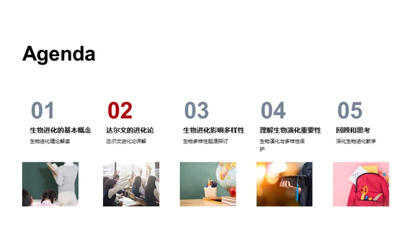 探索生物演化秘密
