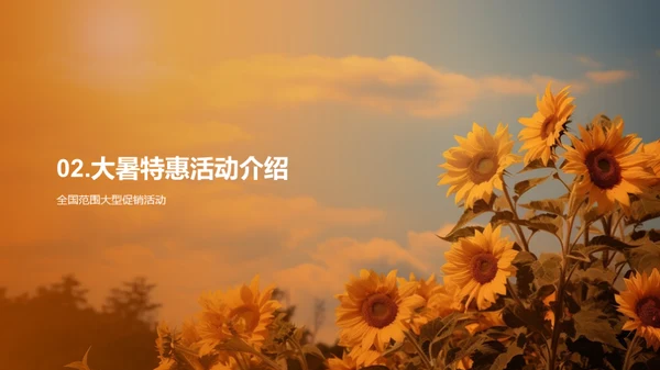大暑营销全攻略