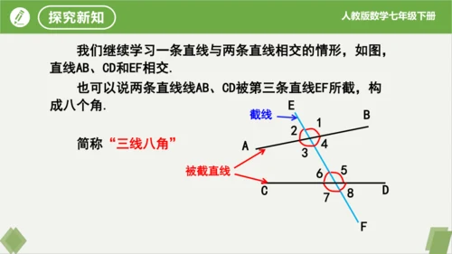 5.1.3同位角、内错角、同旁内角  课件（共23张PPT）