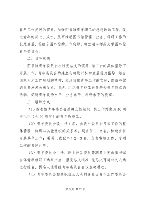 青年工作委员会方案.docx