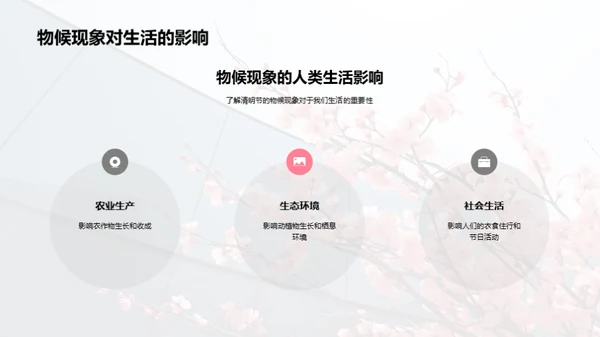 清明节的自然学问