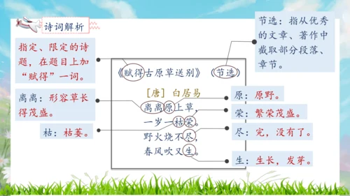 【核心素养】部编版语文二年级下册-语文园地一 第2课时（课件）