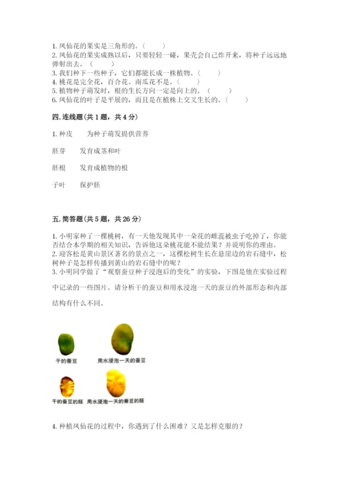 教科版科学四年级下册第一单元《植物的生长变化》测试卷（word）.docx