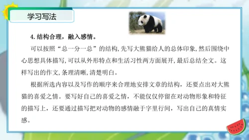 统编版三年级语文下册单元作文能力提升第七单元习作：国宝大熊猫（教学课件）