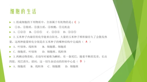 人教版生物七年级上册期中复习课件(共19张PPT)