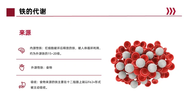 红色简约风缺铁性贫血常规知识培训PPT模板护理
