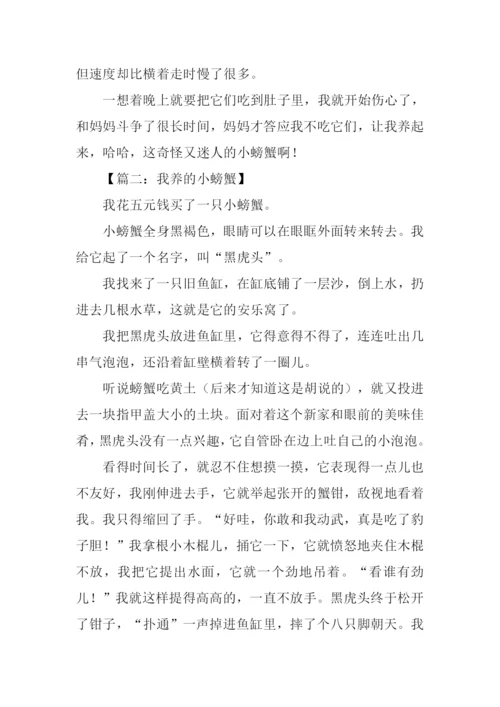 关于螃蟹的作文.docx