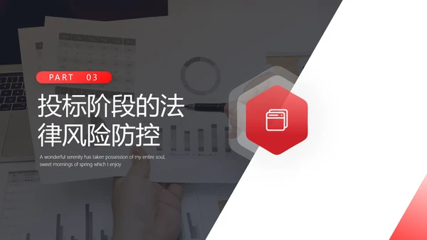 违规招标投标法律风险防控PPT课件