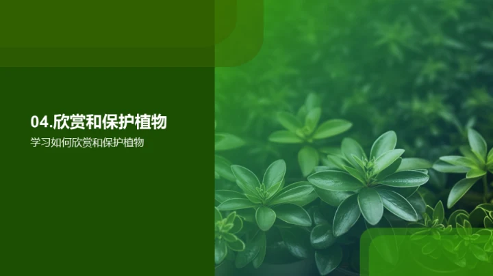 探索植物的奥秘