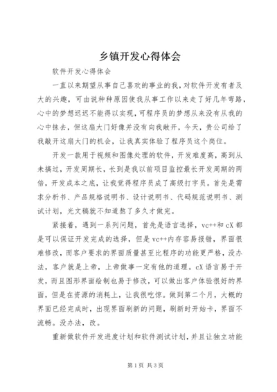 乡镇开发心得体会.docx