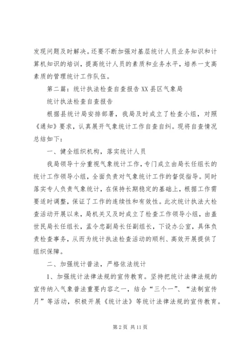 县统计执法检查自查报告.docx