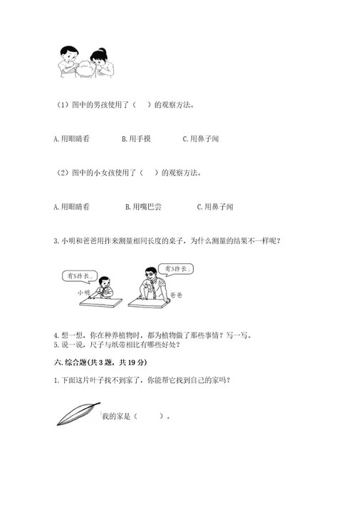 教科版一年级上册科学期末测试卷附答案（b卷）