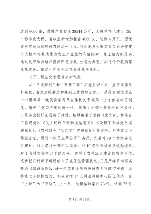 某镇关于工作总结及下半年工作计划的报告.docx