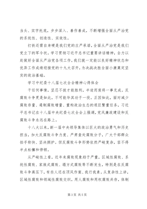 学习中纪委十八届七次全会精神心得体会 (2).docx