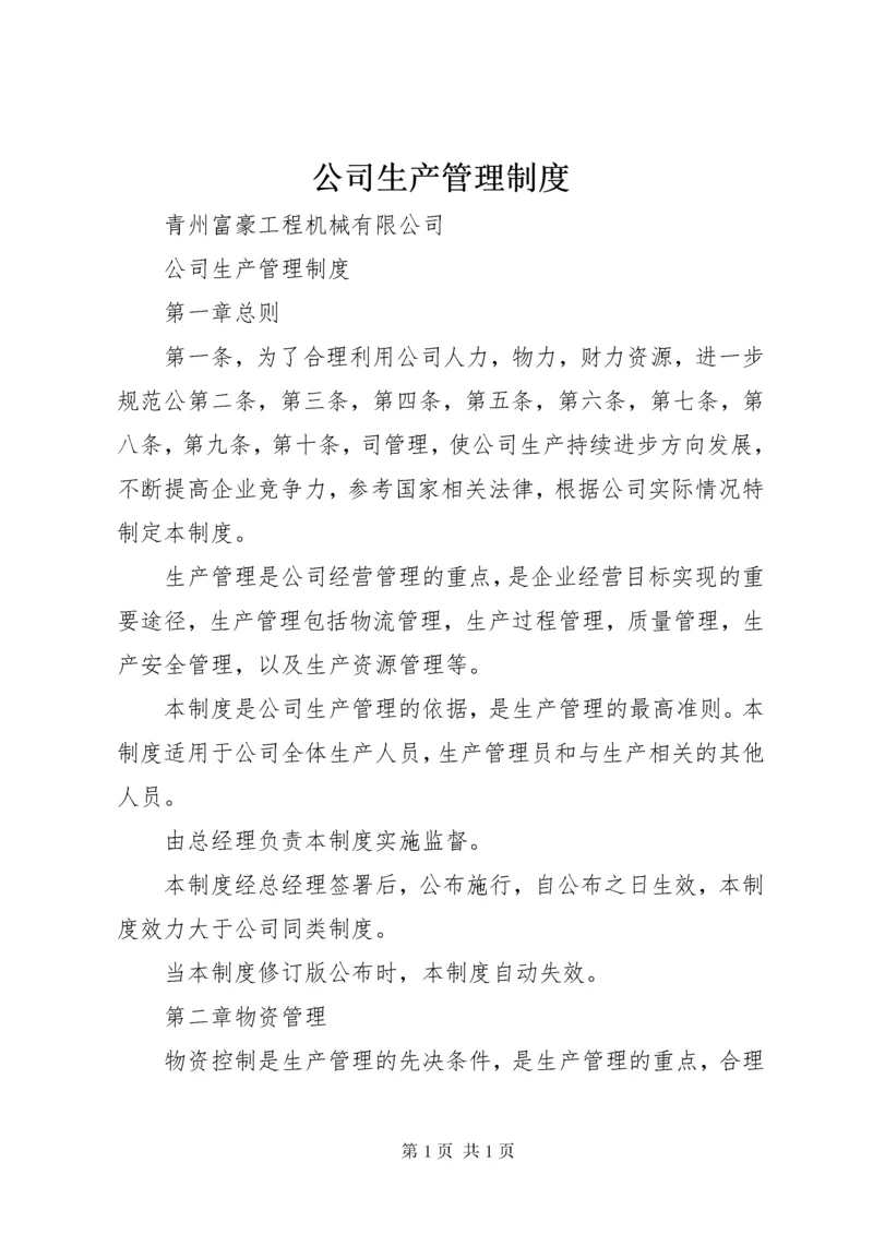 公司生产管理制度.docx