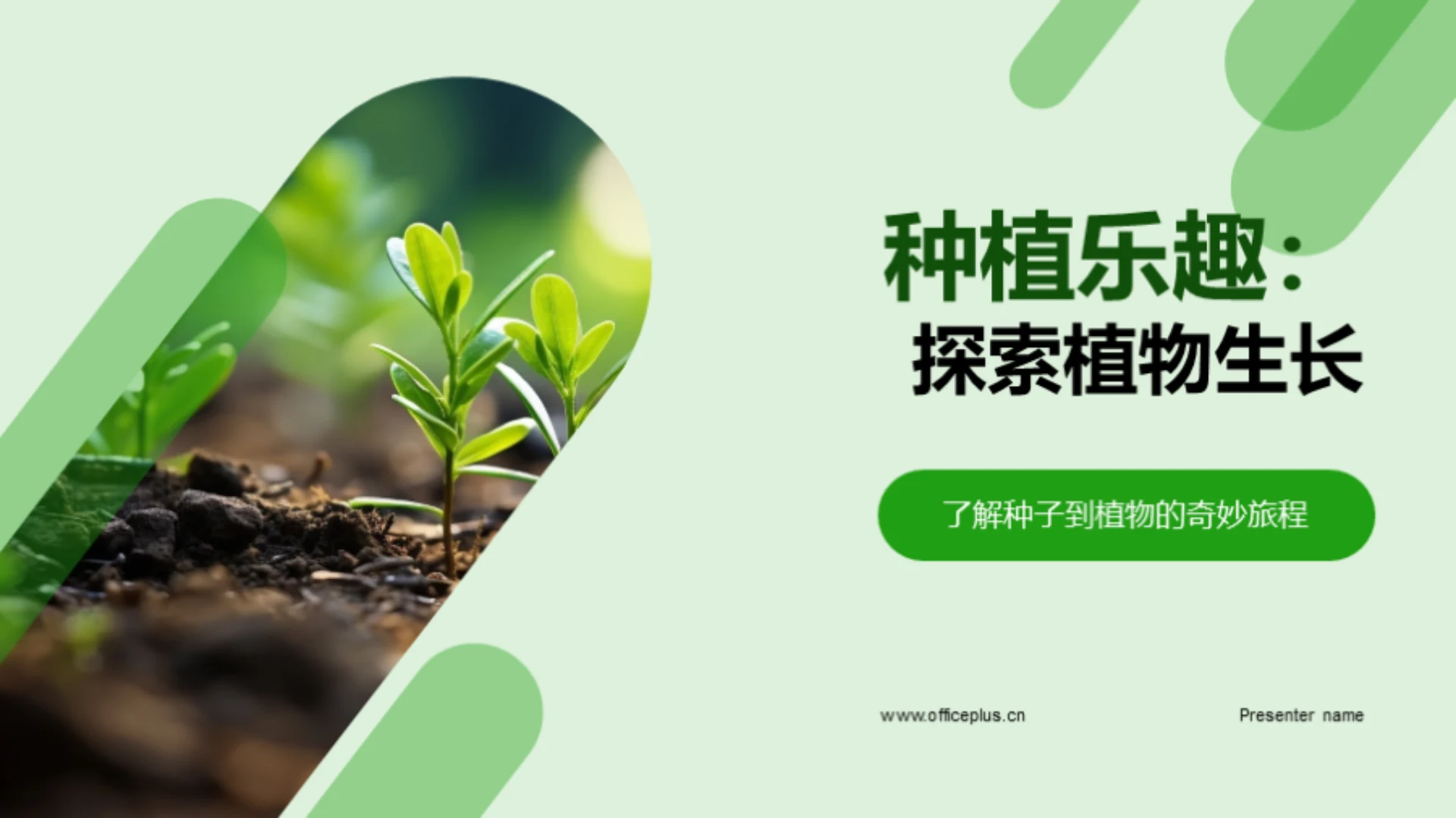 种植乐趣:探索植物生长