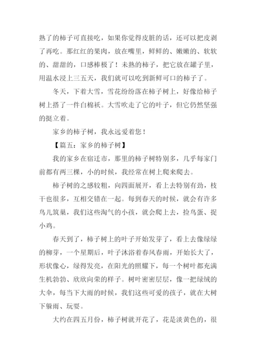 家乡的柿子树作文.docx
