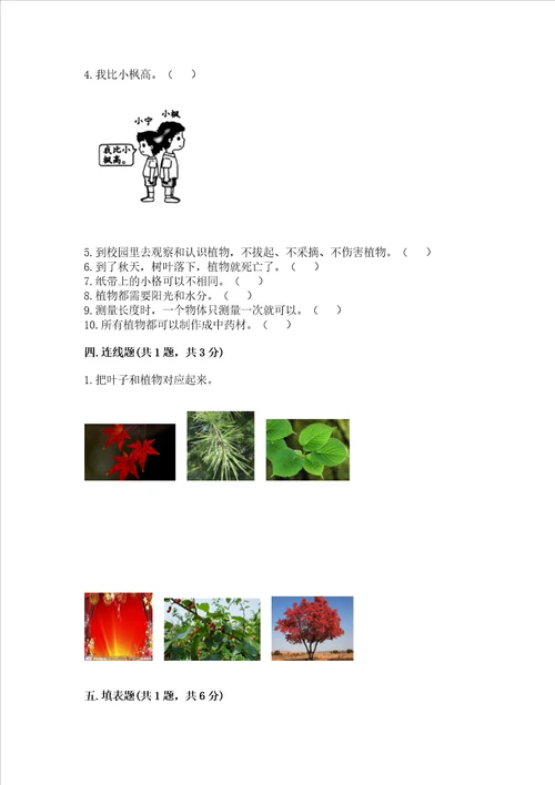 教科版科学一年级上册期末测试卷完整版word版