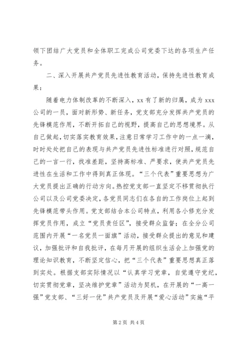 电力企业党支部申报材料.docx