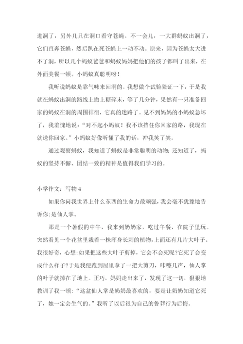 小学作文：写物.docx