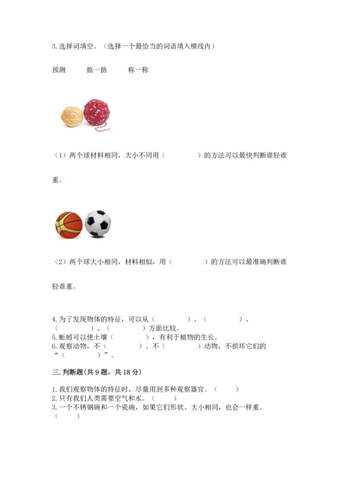 教科版一年级下册科学期末测试卷含答案【培优b卷】.docx