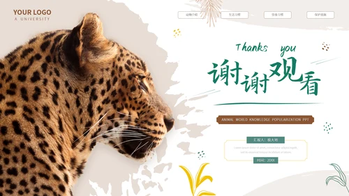 猎豹动物世界花豹科普介绍，豹子通用PPT模板