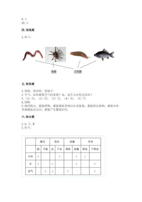 教科版一年级下册科学期末测试卷附参考答案（综合题）.docx