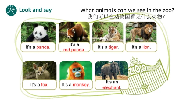 Unit 3 Amazing animals Part B Let's talk（优课）课件（21张