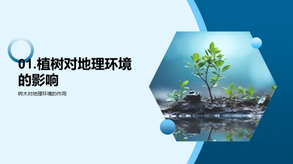 地理科学与植树行动