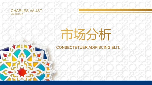 炫彩高端霸气创业融资计划书商业计划书PPT
