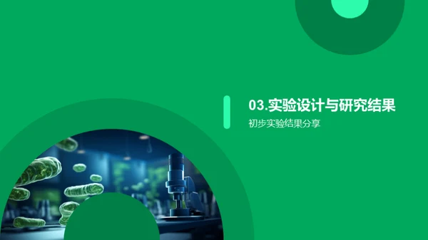 博士研究揭秘