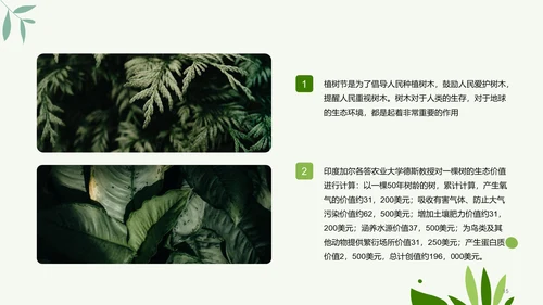 绿色简约扁平植树节节日科普PPT