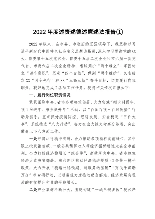 【述职报告】2022年度新区管委会领导班子工作总结和领导干部述职报告-11篇.docx