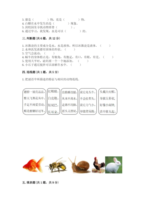 教科版一年级下册科学期末测试卷【预热题】.docx