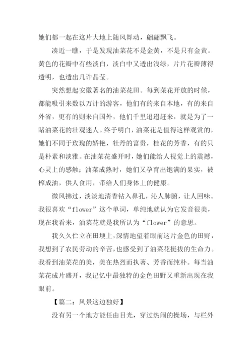 风景这边独好高中作文.docx