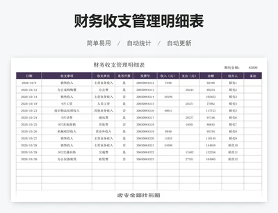 财务收支管理明细表