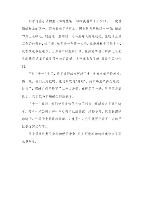 我的课余兴趣作文300字