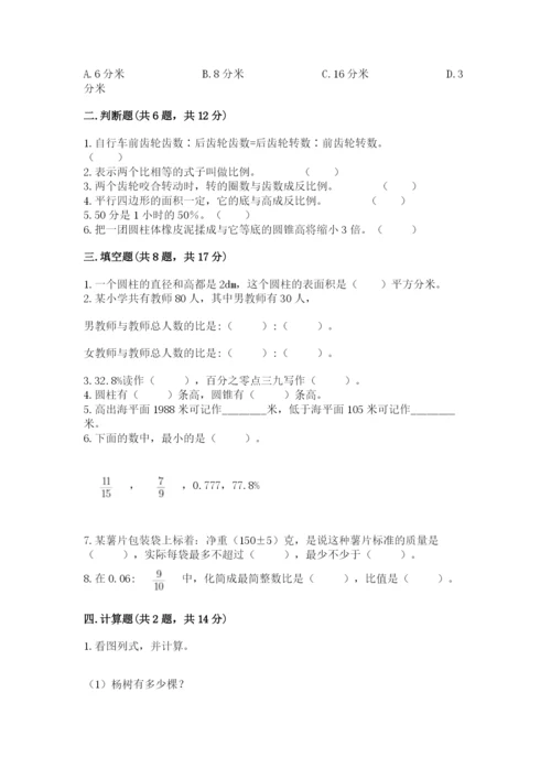 临沂市平邑县六年级下册数学期末测试卷完美版.docx