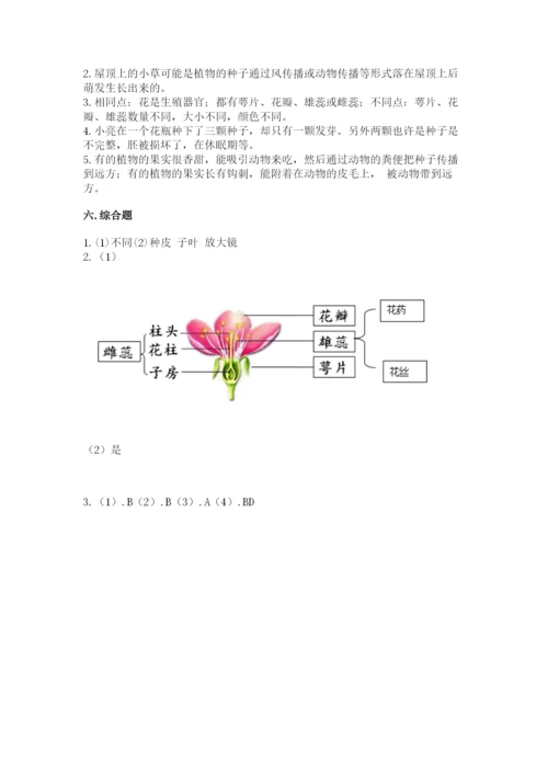 教科版四年级下册科学第一单元《植物的生长变化》测试卷【巩固】.docx