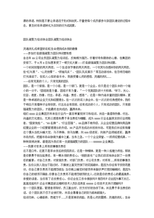 团队凝聚力培训学习心得体会范文